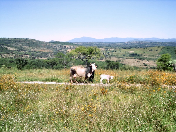 La Varcina